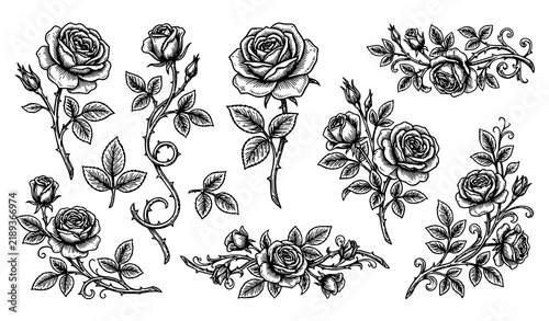 Vintage Rose Engraving Elements Black Vector Collection for Packaging and Branding