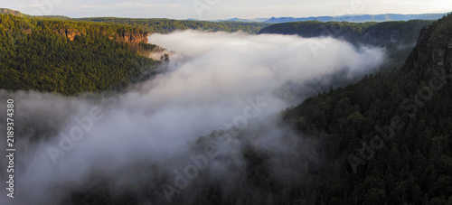 Obraz na płótnie Panorama Morning fog flowing through the sandstone rocks of the Elbe River canyon