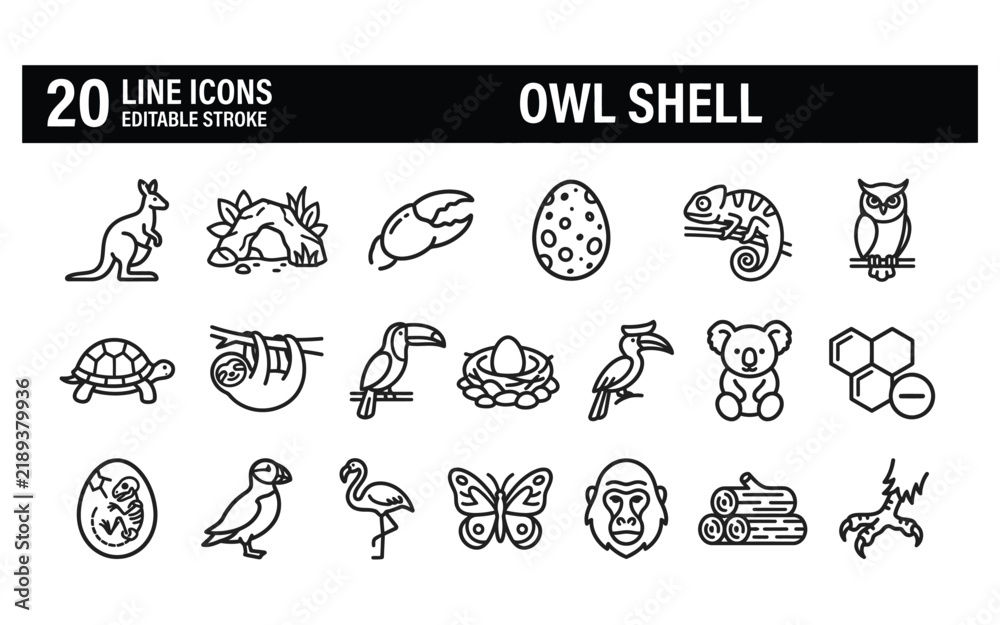 Fototapeta premium Owl shell line icon set featuring wildlife animals and natural elements for outdoor educational materials.