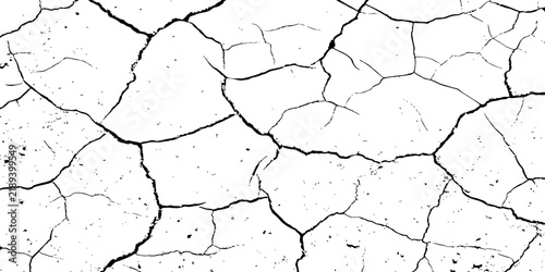 Bild auf Leinwand A high-contrast, black and white texture overlay of extensively cracked and distressed dry ground, featuring jagged, organic fissures and subtle granular details against a stark white background