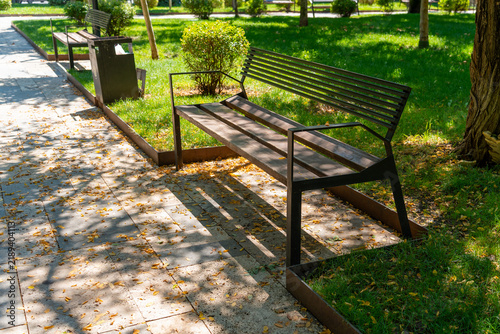 Empty park bench bathed in dappled sunlight next to a tree
