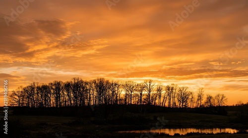 Silhouetted autumn trees against a vibrant orange sunset sky with a reflective pond in the foreground 