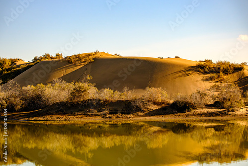 Canvastavla „Golden dune reflected in still lagoon water, La Charca de Maspalomas