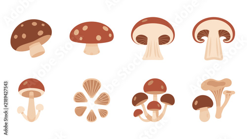 Collection of various cartoon mushrooms and mushroom slices in brown and beige tones