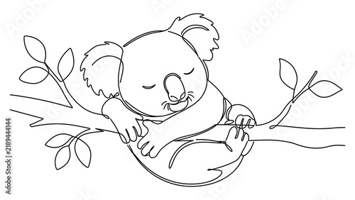 Cute Koala Sleeping on Tree white background.