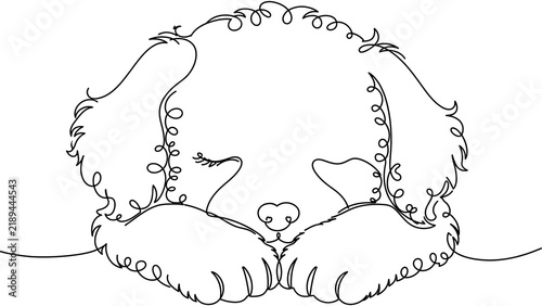 Cute Dog Face white background.