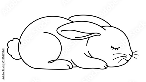 Obraz na płótnie Cute rabbit sleeping white background.