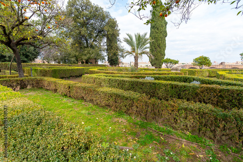 Formal garden maze with manicured hedges and fruit trees under a cloudy sky