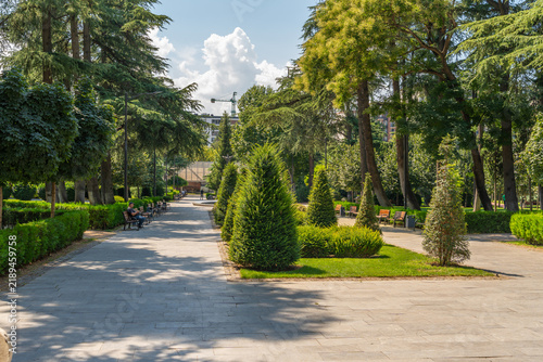 Sunny park pathway lined with manicured hedges and tall evergreen trees