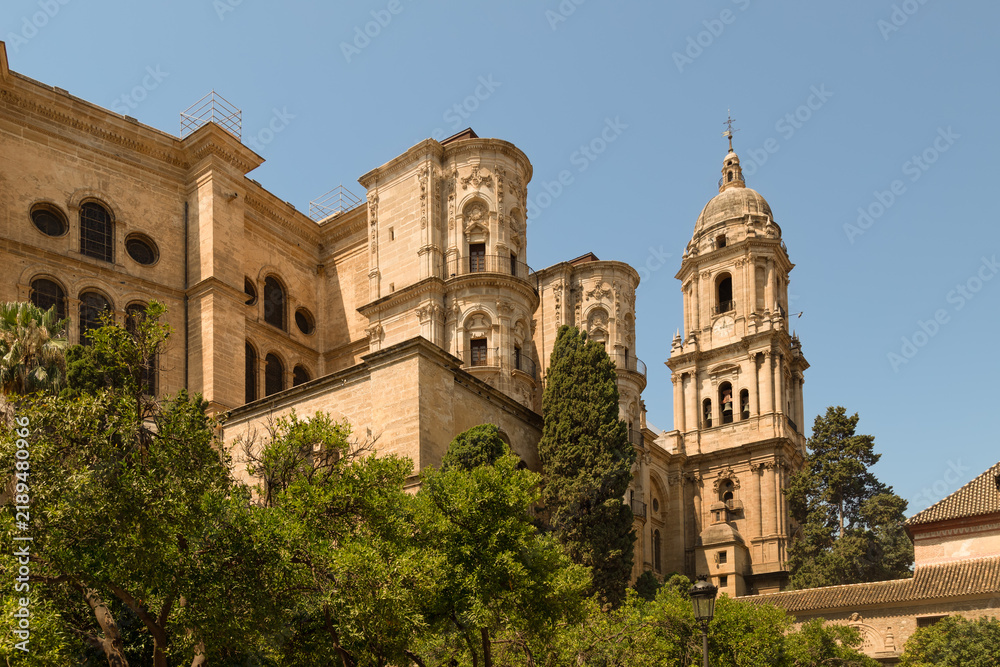 Fototapeta premium Exterior view of the famous Malaga Cathedral (Santa Iglesia Catedrática de la Encarnación) with its grand tower rising above lush orange trees.