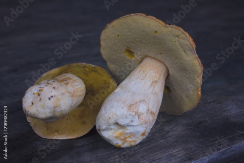 Close-Up of Edible Mushrooms