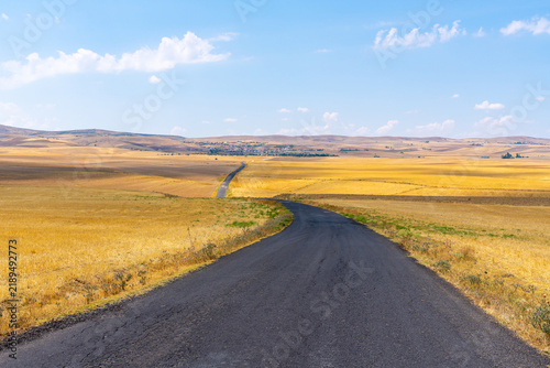 Long empty highway stretching into the distance under a clear blue sky