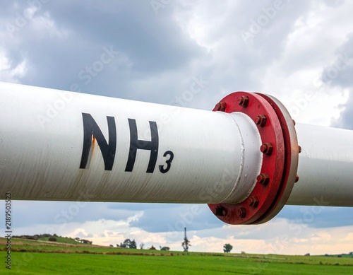 Naklejka ammonia solution