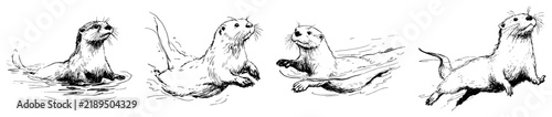 Playful otters swimming and floating in water in ink line art sketch style