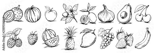 Fresh fruits and berries collection icons in hand drawn ink sketch style