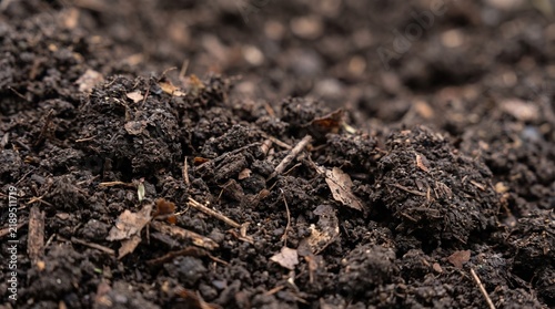 Obraz na płótnie Finished Dark Compost Soil Texture, Extreme Close-Up