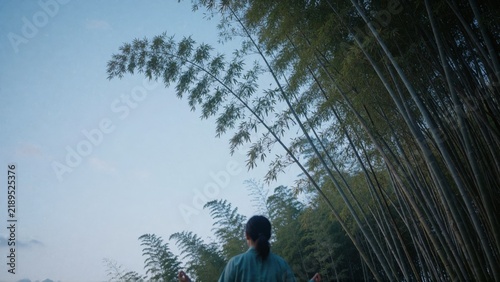 Silhouette in Reeds Under Bright Sky.