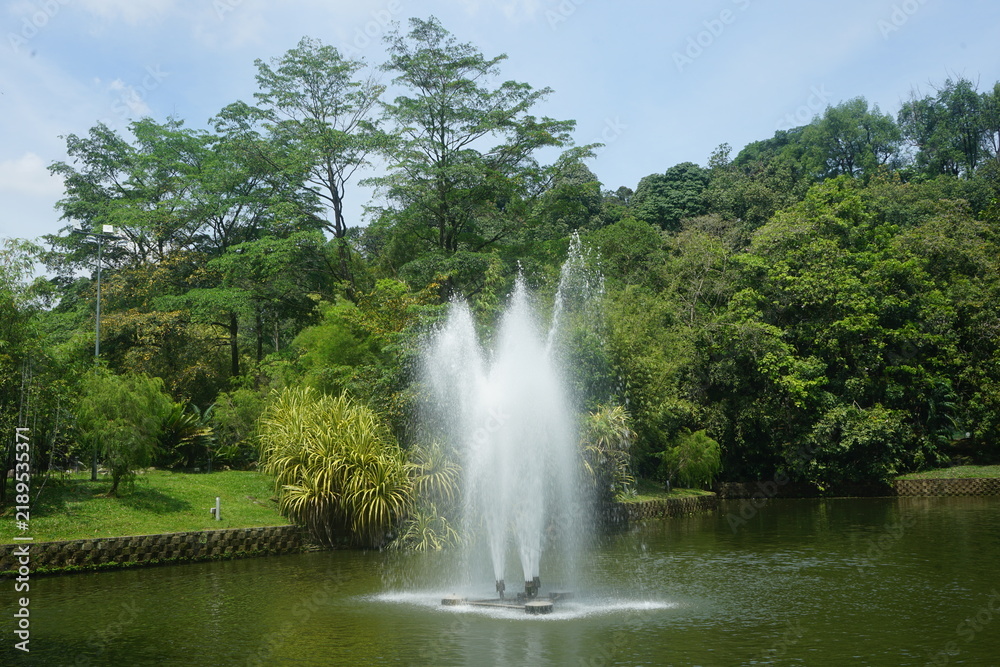 Fototapeta premium fountain in a park