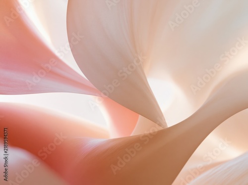 Abstract background with flowing pink and peach curves