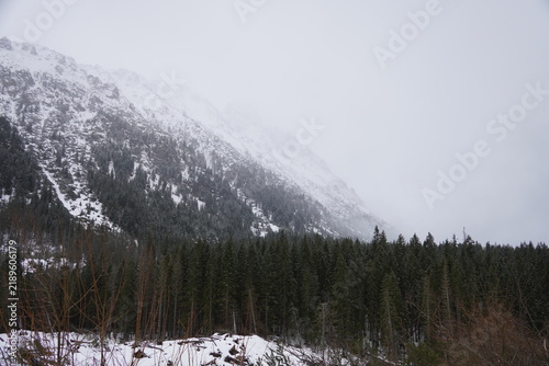 Canvas Print snow covered mountains