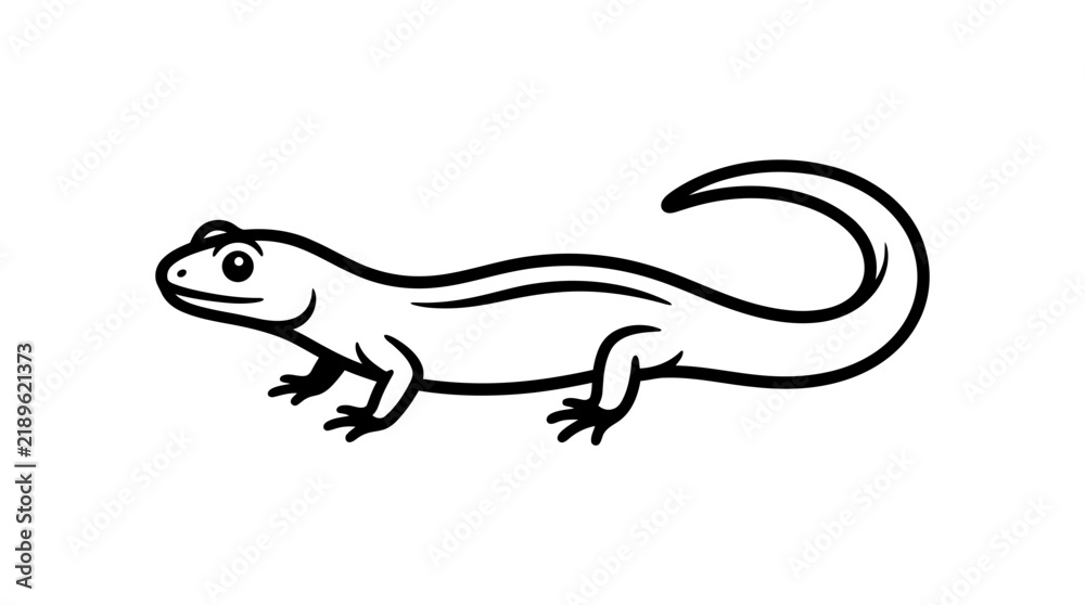 Obraz premium A simple black and white line art illustration of a salamander or newt, a small amphibian.