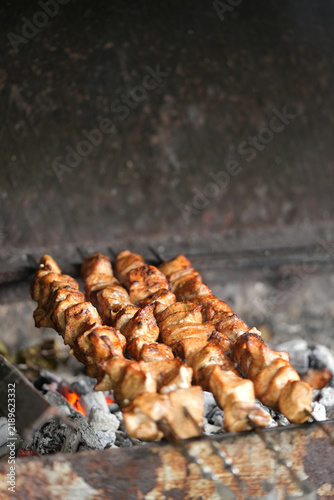 Bild auf Leinwand Shashlik on the grill