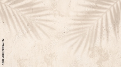 Soft Beige Tropical Palm Leaf Shadow Background with Warm Plaster Texture and Elegant Natural Copy Space