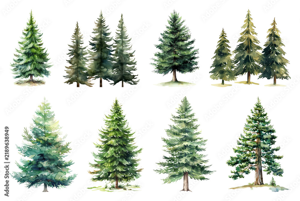Obraz premium Watercolor evergreen trees collection.