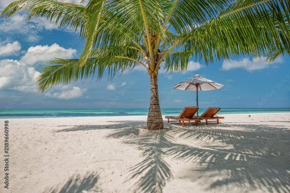 Obraz premium Idyllic coconut palm tree framing sunbeds sandy beach turquoise sea blue sky sunny summer tropical paradise. Perfect summer vacation travel scene. Relaxing holiday scenic beach summer background art