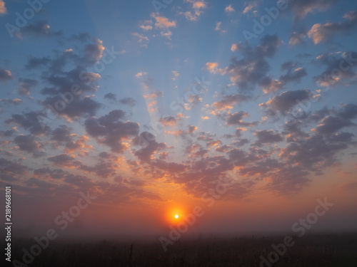 Картината върху платно A vibrant sun rises over a misty field, casting golden light and crepuscular ray
