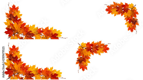 Canvastavla Autumn Maple Leaves Corner Border Set, Vibrant Fall Foliage Frame Elements on Bl