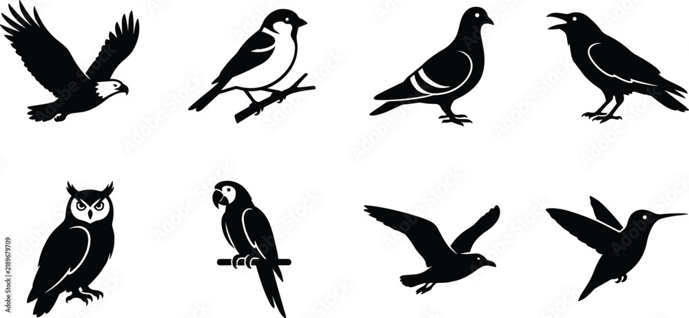 Obraz premium Vector illustration of bird silhouettes including eagle, sparrow, pigeon, crow, owl, parrot, seagull, and hummingbird in black minimalist style