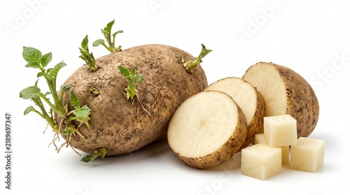 sprout growing cut sliced diced cube cubed vegetable produce fresh raw organic starchy root crop farming agriculture gardening seed planting shoot leaves stem roots whole half