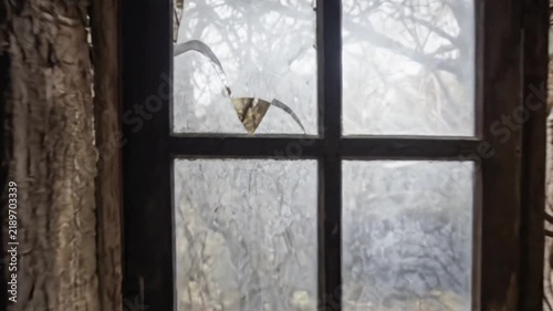 Abandoned House Interior with Peeling Wallpaper and Broken Window
