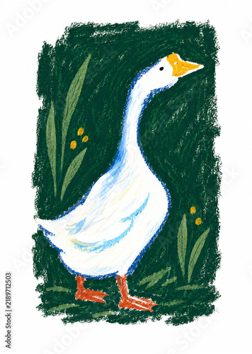 White Goose Illustration