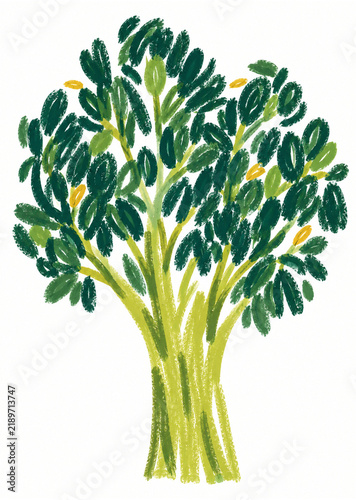 Green Leafy Tree Illustration