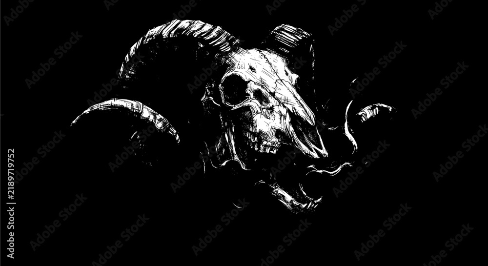 Fototapeta premium goat head isolated on black