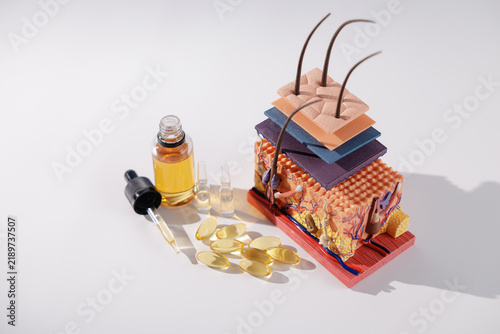 Fotografía Top view hair follicle cross section model with dropper bottle and oil capsules