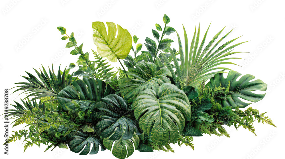 Fototapeta premium Tropical green leaves arrangement, monstera and palm leaf foliage, lush botanical jungle plants on white background