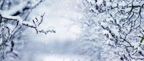 Snow-covered branches with falling snowflakes creating a soft winter background
