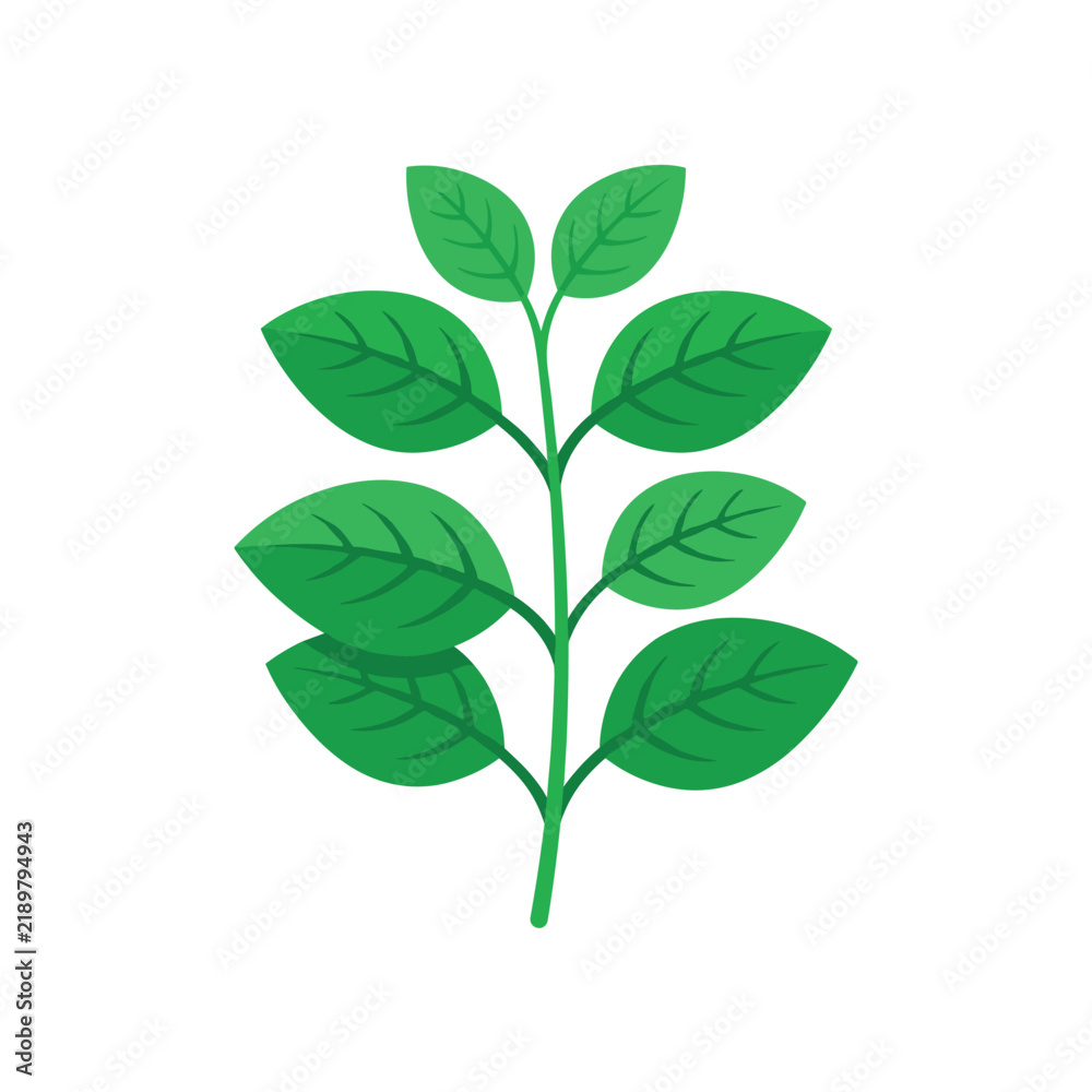 Obraz premium Branch with green leaves on white background, plant nature illustration, healthy botanical element