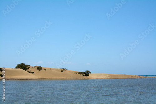 Calm waters meeting the golden sand dunes and sparse coastal vegetation under a clear blue sky.