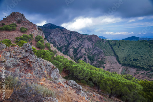 Canvastavla Panoramic view from Monte Capanne mountain over the green hills, coastal villages, and the sea, Elba Island, Tuscany, Italy