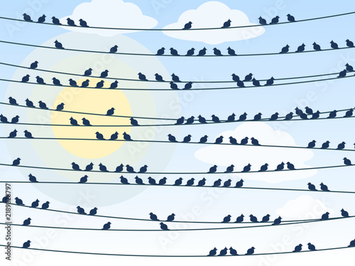 Bird Silhouettes On Sagging Cables Gradient Sky