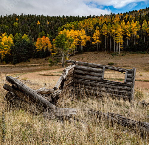 Canvastavla Collapsed Log Cabin in a Colorado Autumn Meadow