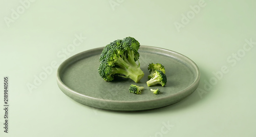 Fresh broccoli floret on a matte green ceramic plate against a soft green background