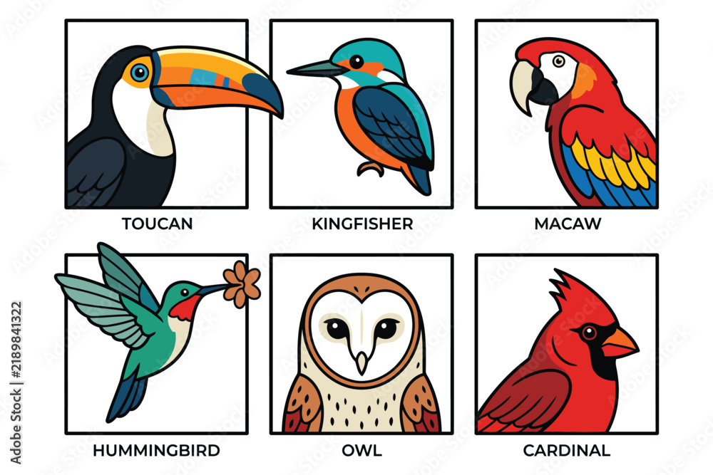 Obraz premium Colorful cartoon birds illustration set