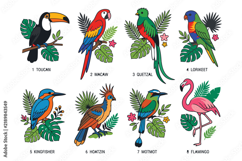 Obraz premium Colorful tropical birds illustration set