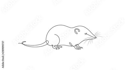 Simple mouse drawing on white background.