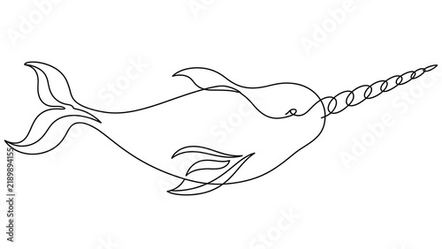 Narwhal white background marine animal.